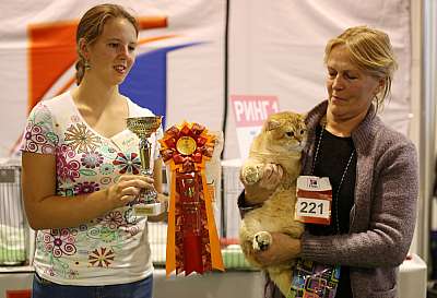 �������� ����� 20-21 �������� 2014 WCF-����� 4-225-169A1139 copy.jpg